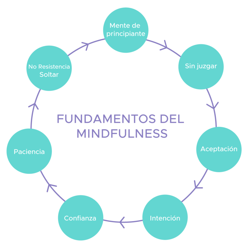 Mindfulness Fundaci N Mindfulness